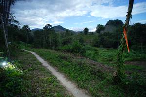 BIB: 
                            <button type="button" onclick="openModal(21792878)" class="btn btn-primary btn-sm float-right btn-popup" data-toggle="modal" data-target=".modal-high-quality">
                        <i class="fas fa-shopping-cart"></i> Add to Cart
                    </button>
                                            <button type="button" onclick="isThisMe(21792878, true)" class="btn btn-success btn-sm float-right btn-popup btn-isme hidden" data-toggle="tooltip" data-placement="bottom" title="นี่คือรูปของคุณใช่ไหม คลิกที่นี่เพื่อเอาเข้าอัลบั้ม">
                        <i class="fas fa-plus"></i> Add to album
                    </button>
                    <button type="button" onclick="isThisMe(21792878, false)" class="btn btn-warning btn-sm float-right btn-popup btn-isnotme hidden">
                        <i class="fas fa-ban"></i> Remove from album
                    </button>